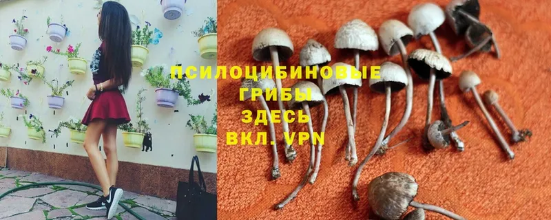 Галлюциногенные грибы мухоморы  Омск 